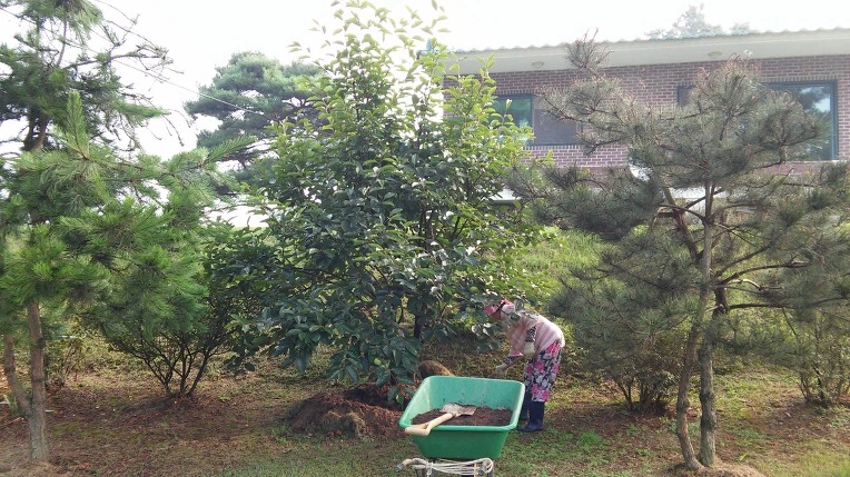 2413293957D0BA1503F6F4