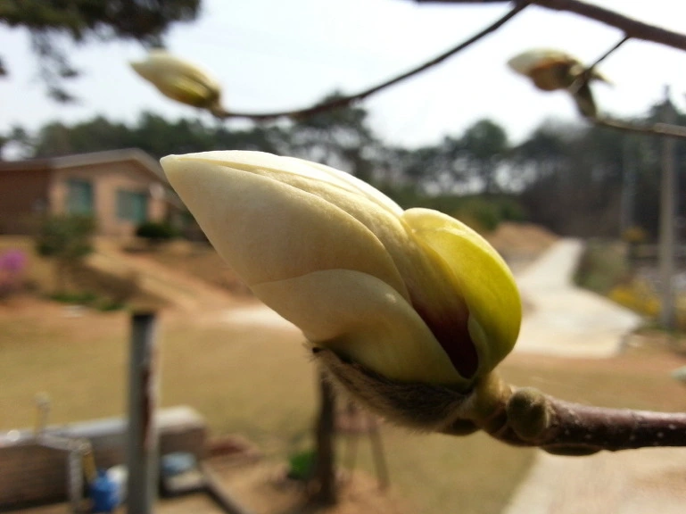 220D7E3D533A7568299360