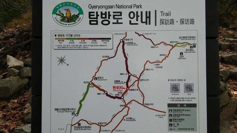 24504746560FBC6D11B7C9