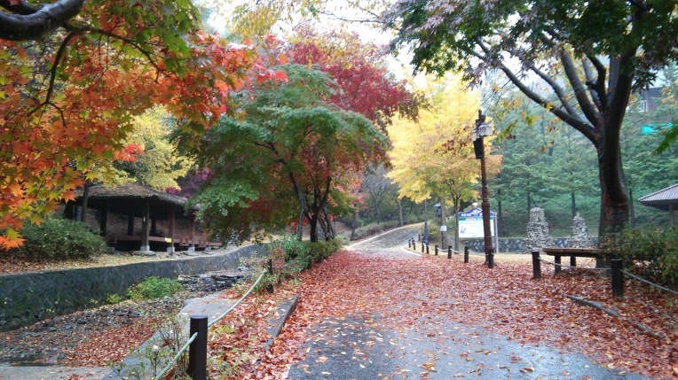 24026C3D56932C1A3974D3