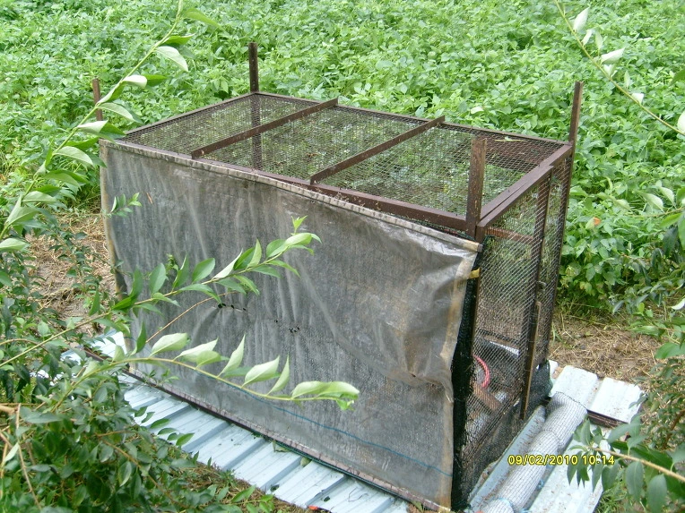 1716061A4CA5BE4B56A48C