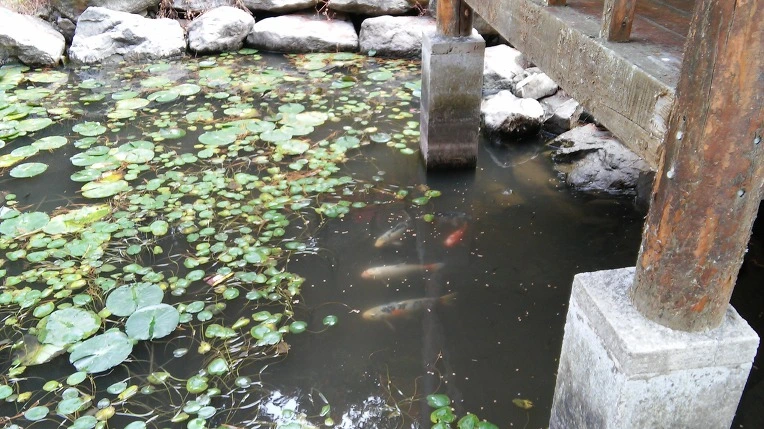 2220404B5628803F0599CC