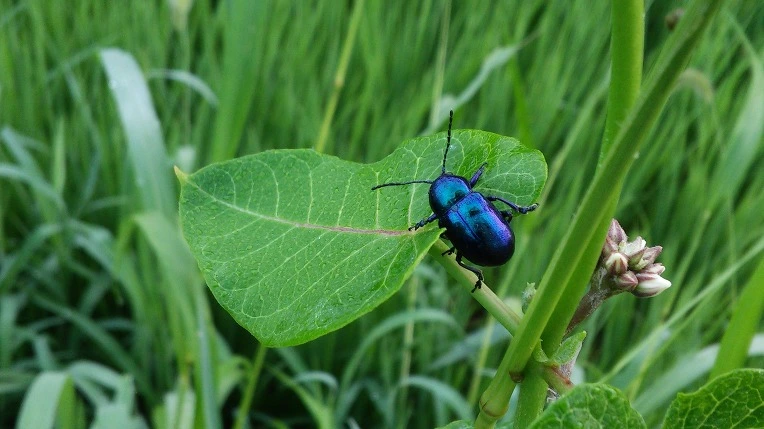 2612824857982C5E13A4EA