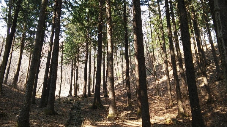 226D673356F7759036BA76