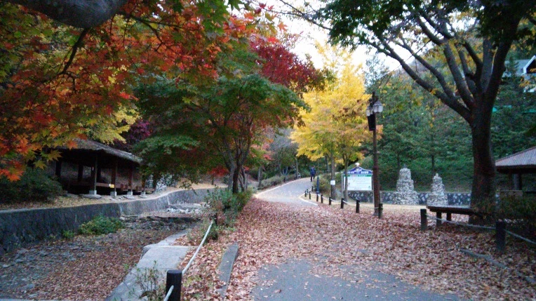 2553CF3D56932C110EE2F7