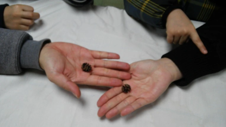 25772C4958D74AD1028701