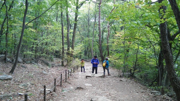 230B0140560FBBFC29336B