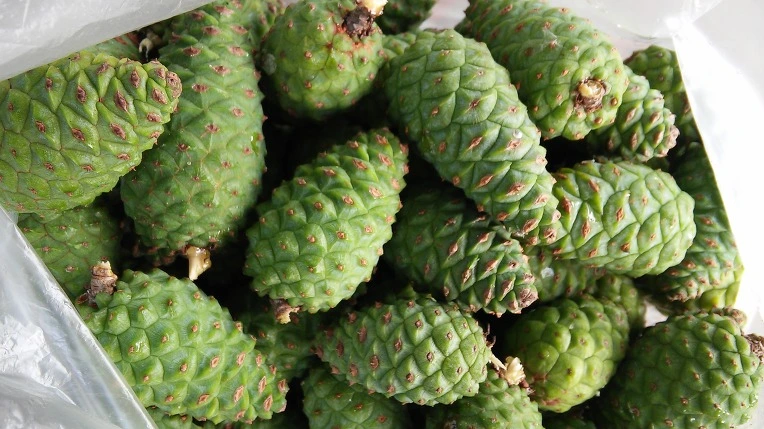 25221B4F5771F4651413E3