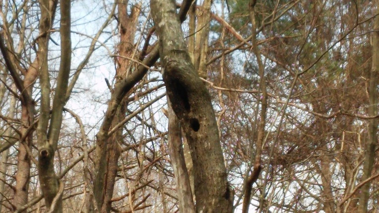 211F954156EDE5193201CB