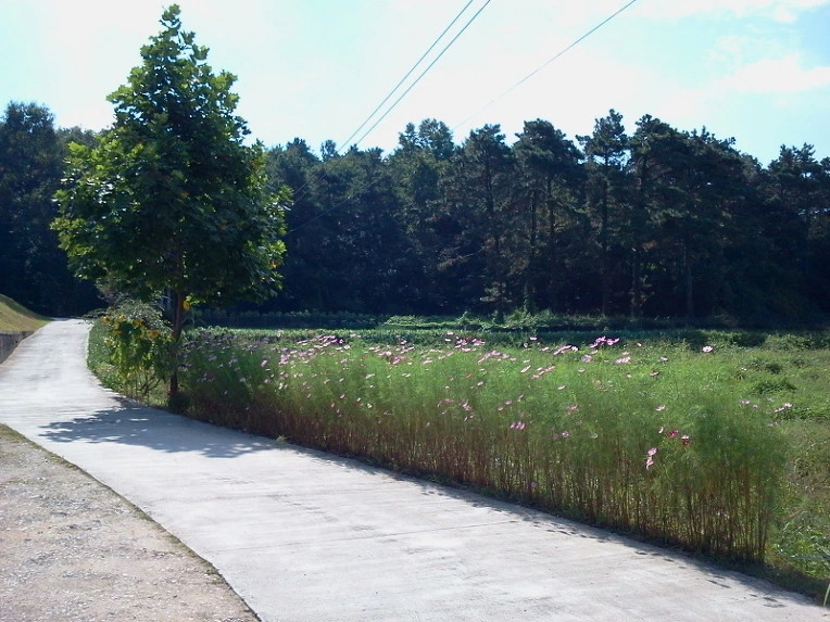 110955344E66D8A21EB2CB