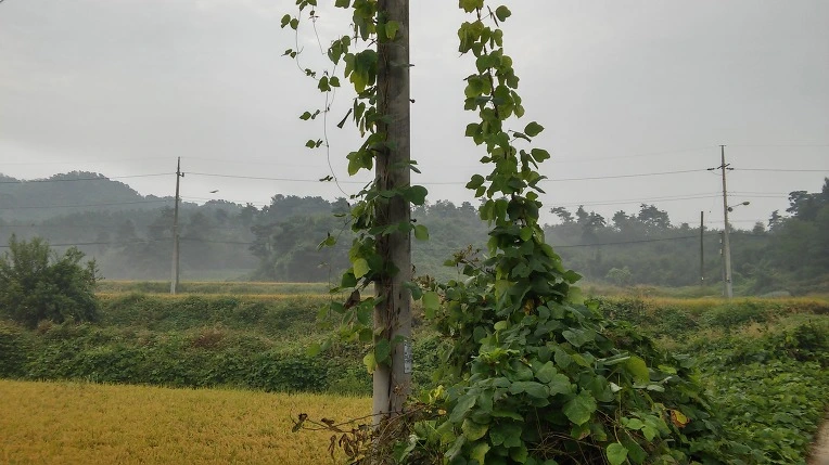 213C5B4A57E7020616038A