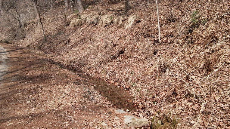 21653D3B56F3913D22DB33