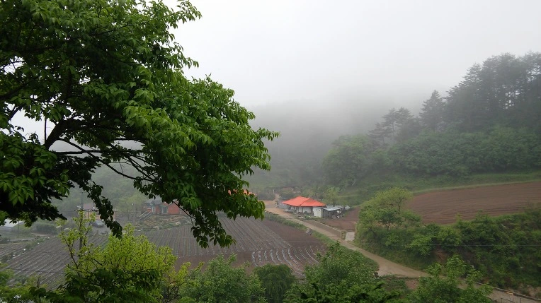 236D534C5924D6B126F84B