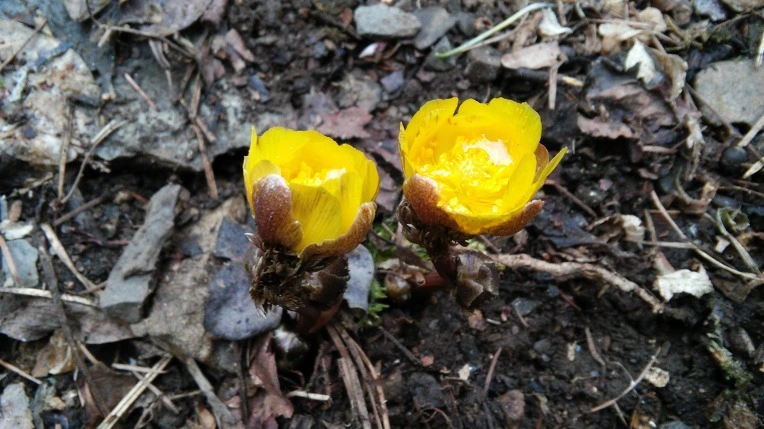 2541414056D1085D1A919A