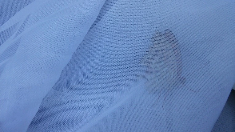 2515193E5593AB8E0653B4