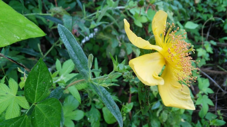 2242804D57982E6E05F7D1