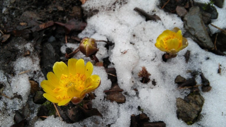 232A904056D1086226823E