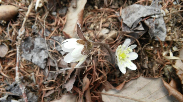 227DDB4156F4DC9234BD3D