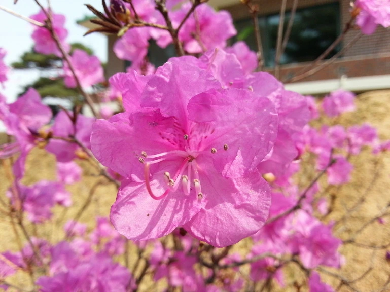 21729C3E533A74862C4EC0