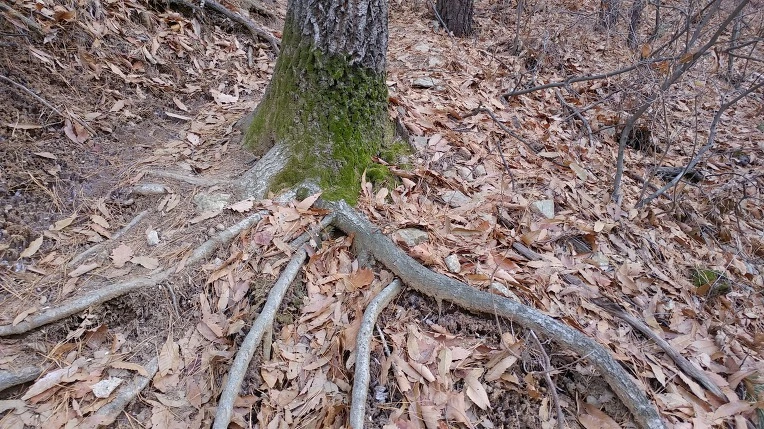 9905C1445E48FF9B23EEE6