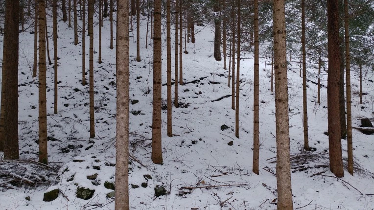 996FFF375AA45F67279EE3