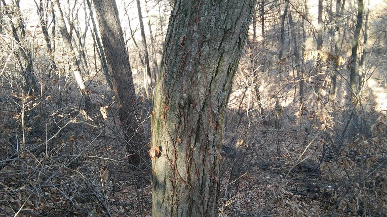 27029C505853B82B1A4F7D