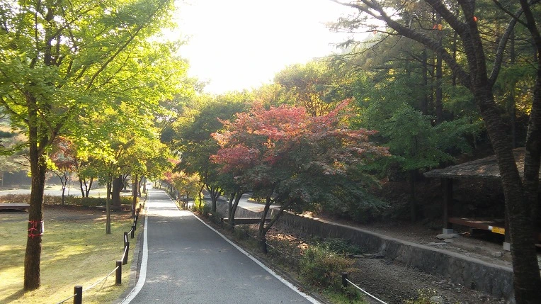 230194385620A69236C1A4