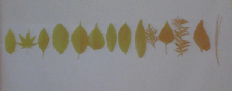 275E653C56FA721D36BF20