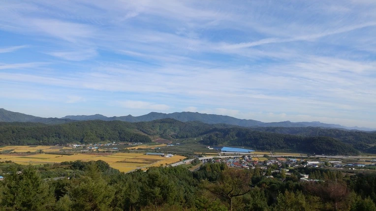 99FF6B345BBAFCD5044A7F