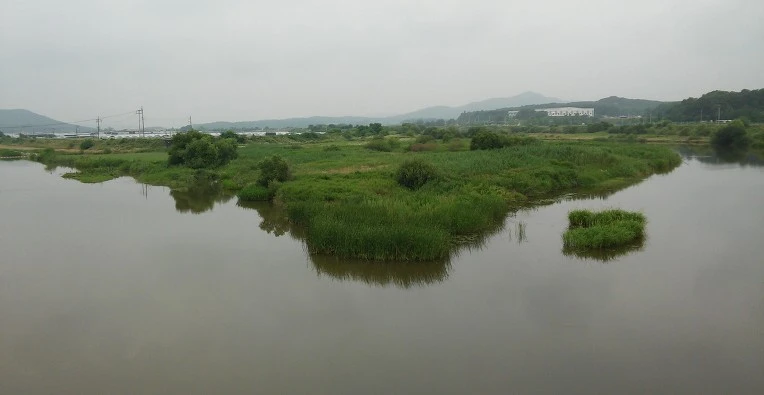 232FBD43577891571B885C