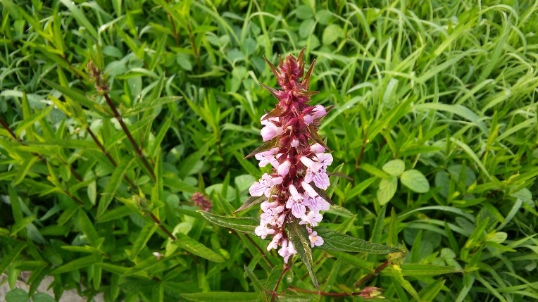 23686D38575A1EC1128D9C