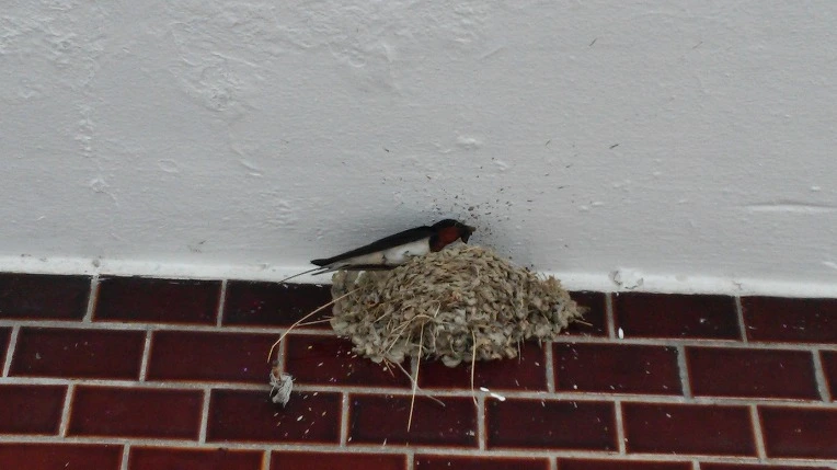 2557A94D577B3AF22FD988