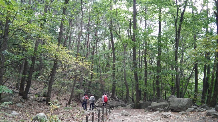 2423C140560FBBF713A400