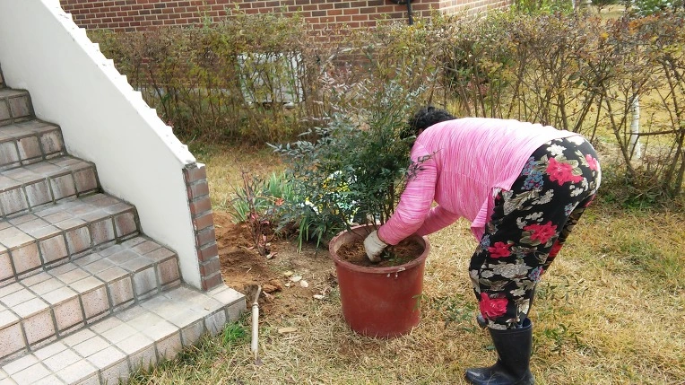 2403E939582A3445129B37