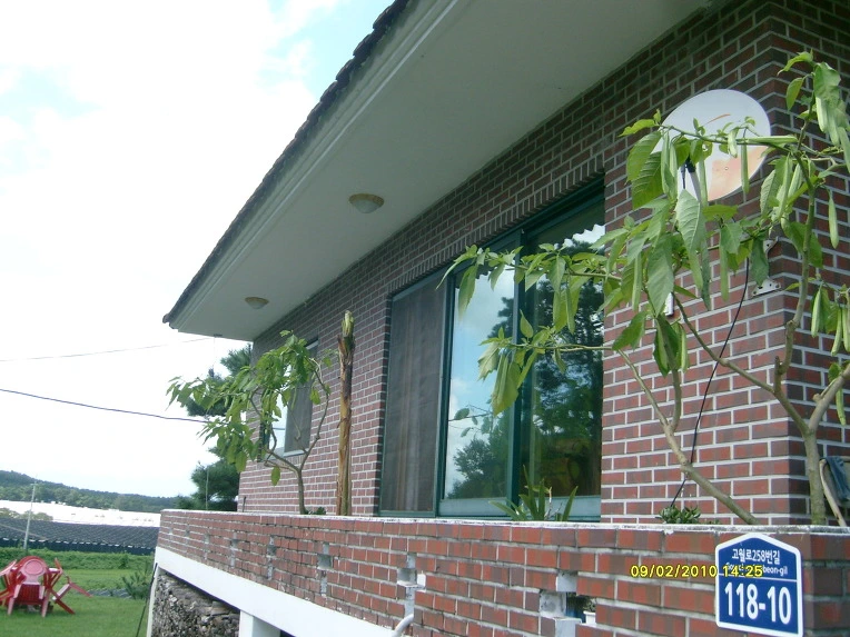 2016061A4CA5BE5263D6BA