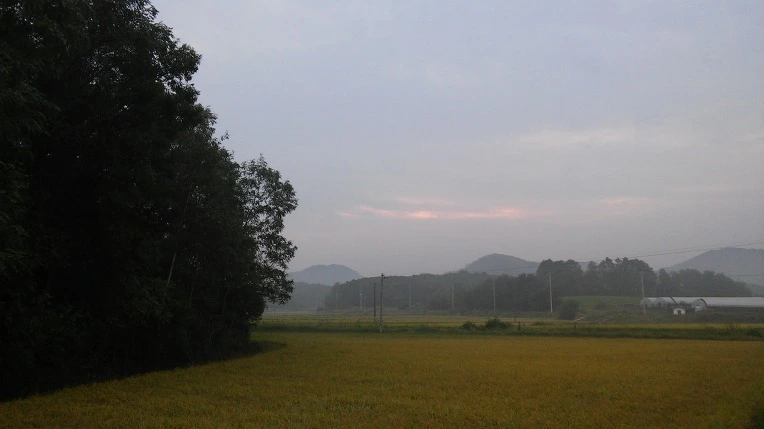 22215C4C57D5E24A2AB9D0