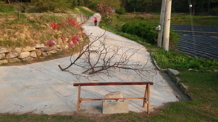 26224835571DF43534A082