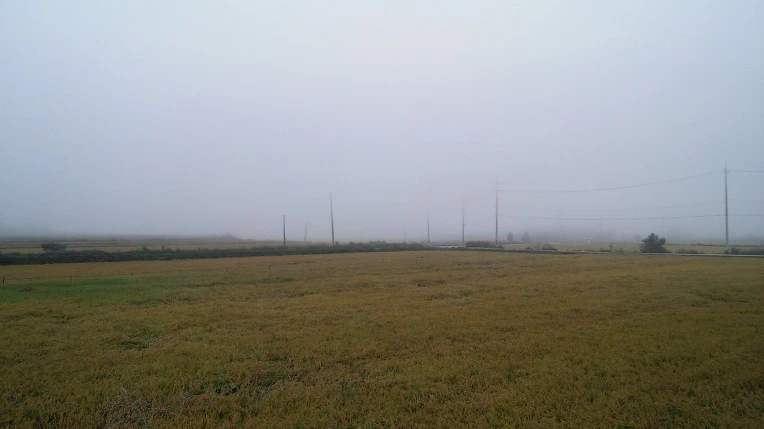 22527C3357E4681514382C