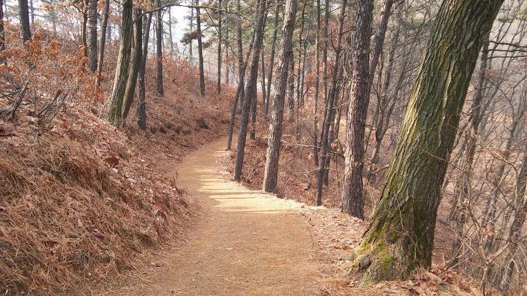 263F334E58B3664E2483FD