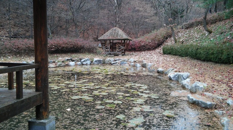 2434D03C564D16E937A3B7