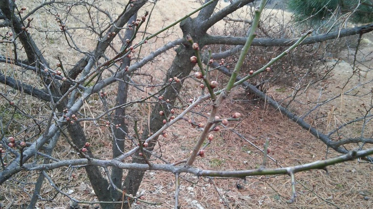 2773804156C6C22A25C690