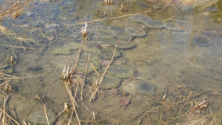 2245EC3E550282FE0552B8