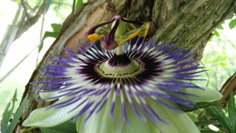 246FE54C575E42810F043C