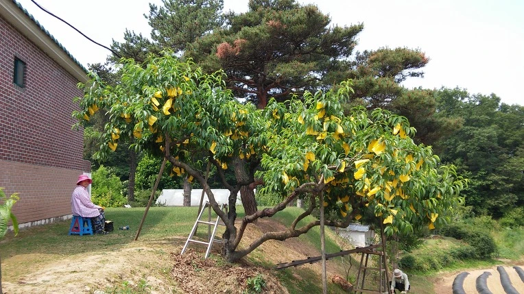 275D89375798583027B2B0