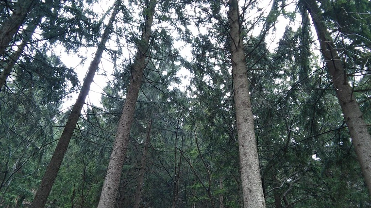 2150333C56EB9BAC28DB26