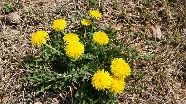 2543AB4A570366D519CF63