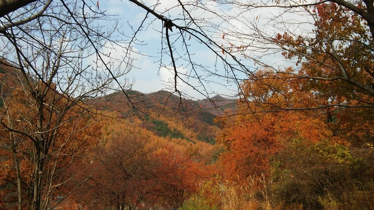 23636E35564314D6204D4F