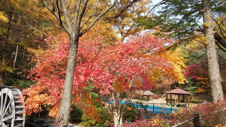 245EED4F563C467C046718