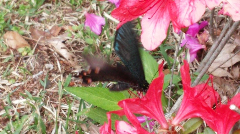 237DA234554DA122079050