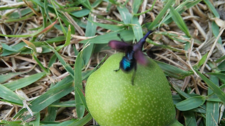 21570D435745886F30FA7E